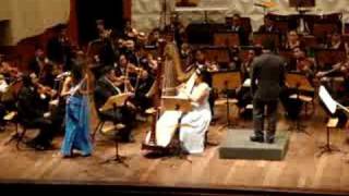 Mozart Concerto for Flute and Harp I Mov [upl. by Alyled378]