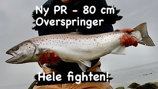 Havørredfiskeri Forår Ny PR 80cm  Mit livs Største Havørred [upl. by Eelarak368]