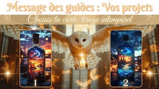 🌈Messages de vos guides  Vos projets🌈 🦋 Guidance à 2 Choix 🦋 [upl. by Amber66]