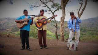 La Perra Renca interpretada por el Grupo Los Navegantes Municipio de San Ramón Matagalpa [upl. by Mersey946]