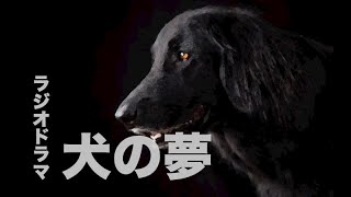 【ヒューマン】ラジオドラマ「犬の夢」 [upl. by Hole]