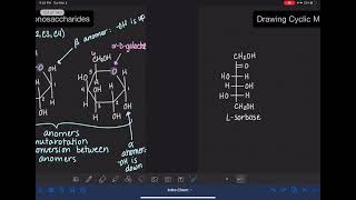 62 Drawing cyclic ketoses [upl. by Saihtam247]