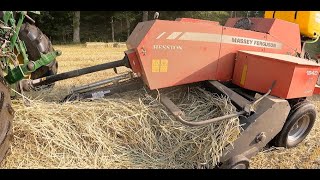 Massey 1840  BIG Windrows  Lots of Straw [upl. by Eitsyrc340]