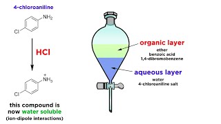 Separating Components of a Mixture by Extraction [upl. by Bleier]