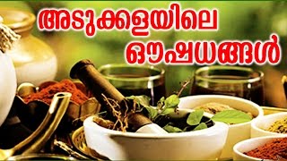 അടുക്കളയിലെ ഔഷധങ്ങൾ  ADUKALAYILE AUSHATHANGAL  Malayalam Health Tips  Health Tips [upl. by Cote]