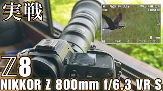 【野鳥撮影】いつものフィールドで実戦！！ Z8 × NIKKOR Z 800mm f63 VR S [upl. by Hyrup93]