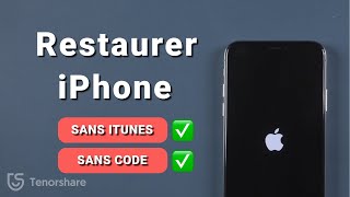 impossible de Restaurer iPhone  Comment restaurer iPhone sans iTunes sans code [upl. by Keane]