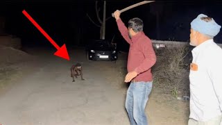 real ghost caught on camera scary ghost paranormal [upl. by Smoht]