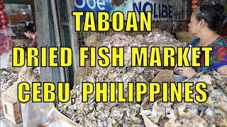 Taboan Dried Fish Market Cebu Philippines [upl. by Acassej]