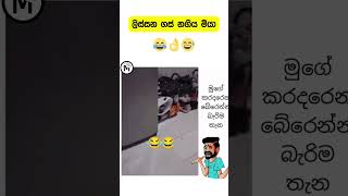 try not to laugh  rat funny moment shortsfeed funny viral memes [upl. by Rabin]