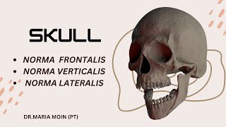 SKULL ANATOMY  NORMA FRONTALIS  VERTICALIS AND LATERALIS  DPT  MBBS [upl. by Dranek]