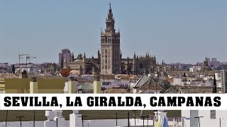 SEVILLA E las campanas de la Giralda catedral Santa María de la Sede [upl. by Notgnirrab]