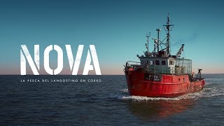 NOVA  La pesca del langostino en corro [upl. by Kopans197]