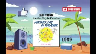 Jam Tronik  Another Day In Paradise Radio Version [upl. by Ogdan]