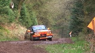 British Rallying Highlights 2012 Pure Sound [upl. by Nnayram]