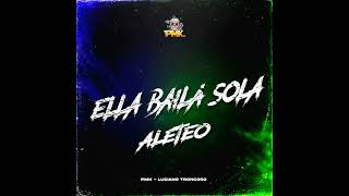 Ella Baila Sola  Dj Pirata feat Dj Luciano Troncoso guaracha aleteo tendencia hit pesopluma [upl. by Godfry]