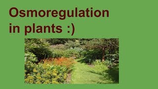 Osmoregulation in plants [upl. by Aneehsirk366]