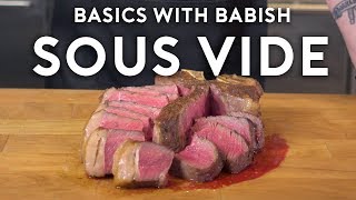 Sous Vide  Basics with Babish [upl. by Seavir899]