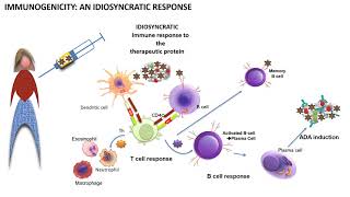 Immunogenicity explained in 6 minutes [upl. by Herc]