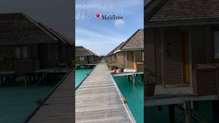 📍Meeru Island Maldives maldives travel shortvideo nature island [upl. by Tirrej67]