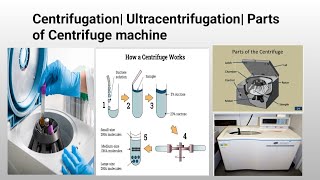 Centrifugation Ultracentrifugation Cell Fractionation [upl. by Zaria]