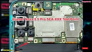 Huawei Nova 5 5 Pro SEAXXX Test Point [upl. by Koorb]