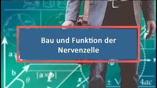 Bau und Funktion der Nervenzelle [upl. by Otrebogad]