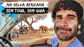 SAFARI NA ÁFRICA POR CONTA PRÓPRIA  Experiência surreal [upl. by Rosemare]