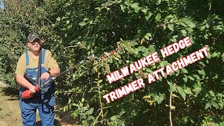 Is this Milwaukee hedge trimmer attachment worth buying Watch and see for yourself [upl. by Ylicic359]