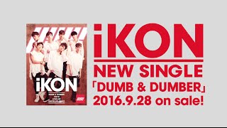 iKON  SINOSIJAK REMIX Japanese Short Ver from Single「DUMB amp DUMBER」 [upl. by Etnomaj265]