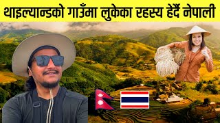 थाइल्यान्डको गाउँमा घाँस काट्ने अनौठो मेसिन  Thailand to Cambodia  World Tour  Ep07 🇹🇭 [upl. by Aicilat]