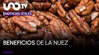 ¿Cuáles son los beneficios de comer un puño de nueces diario [upl. by Sidonia]