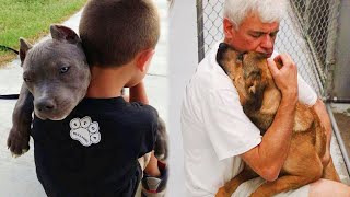 The Unconditional Love Of Dogs Is Incredible  Dogs Show Love To Their Owner [upl. by Mimi620]