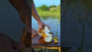 amazing skill in peeling old coconut [upl. by Fabrice702]