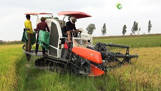 Kubota Harvester New Model 2021 Rice Harvest  Greet Fast Working Skills Harvesting Machine Kubota [upl. by Lebiralc]