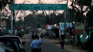 Famous land of Tigers Kanha Kisli National Park [upl. by Yttig]