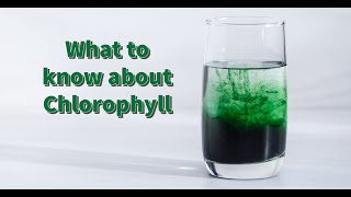 Chlorophyll What is it Is it Good For Your Health [upl. by Danyelle]