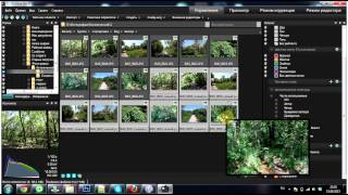 Работа с программой ACDSee Pro [upl. by Nitsu]