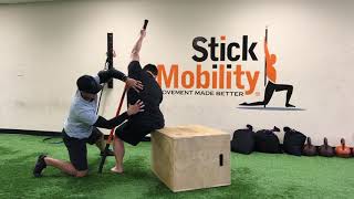 QL Stretch For Low Back Tightness  Stick Mobility Exercise [upl. by Arlie648]