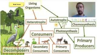 Biology 012 Ecosystems  Biotic and Abiotic Factors [upl. by Yemorej]