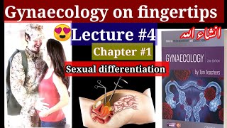 Gynaecology lecture 4 tenteachar chapter 1 anatomy embryology malegential femalegenital [upl. by Rosita]