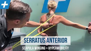 Serratus Anterior Exercises for Winging Scapula and Hypermobility  Tim Keeley  Physio REHAB [upl. by Markland261]