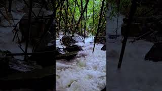 4KHEAVY WATERFALL SOUND DEEP IN THE MOUNTAIN FORESTAMAZING WATERFALL 4KRELAXING NATURE SOUND [upl. by Alleahcim]