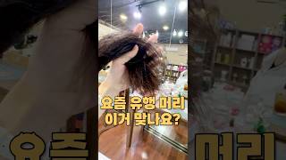 요즘 유행하는 머리 했눈뎅💇🏻‍♀️ [upl. by Enimrac943]