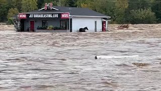 Horses and People of Hurricane Helene [upl. by Alika]