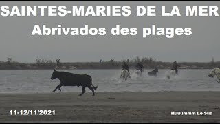 SAINTESMARIES DE LA MERAbrivados des plages1112112021 [upl. by Nillor]