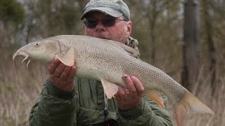 La Pêche du Barbeau [upl. by Ahsim]