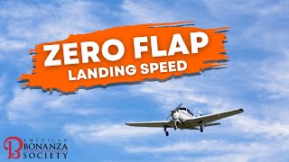 Zero Flap Landing Speed [upl. by Airtemed]