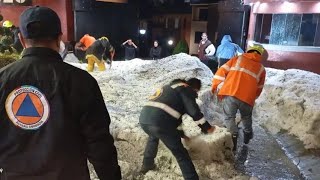 TEMPESTADE DE GRANIZO DEIXA BLOCOS DE GELO GIGANTE NAS RUAS DO MÉXICO [upl. by Aniad]