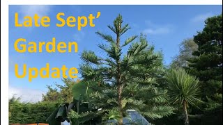 Late September Exotic Garden Update [upl. by Nabru651]